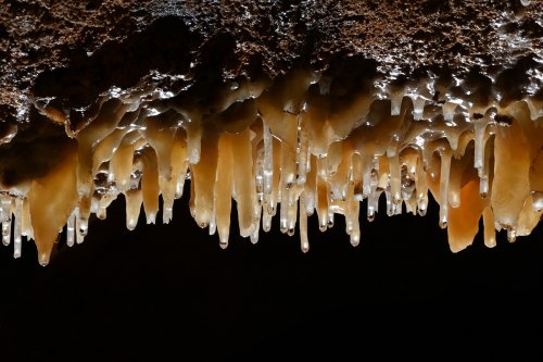 Grotte de Labouiche (Ariège) - Rideau de stalactites(SP-23-1609)